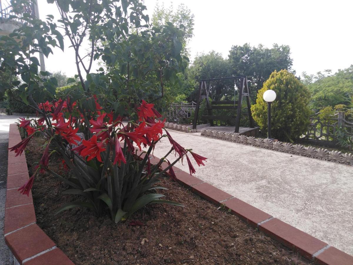 Dolce Risveglio Bed & Breakfast San Valentino in Abruzzo Citeriore Luaran gambar